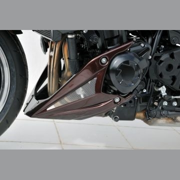 Kryt motoru
