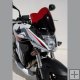 CB 600 HORNET 2007/2010 - HONDA - Plexi Ermax pro motocykl - V�trn� �t�tek bord�