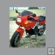 600/750/900 SS 91/94 - DUCATI - Plexi origin�l �ern�