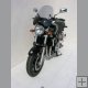 Plexi univerz�ln� Rider 500x420 kou�ov�-n�dech do �eda