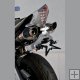 B KING 1300 SUZUKI 2008/2010 Zadn� placka+ sv�tlo + blinkry + osv�tlen� SPZ E11 st��brn� metal�za (YMD )